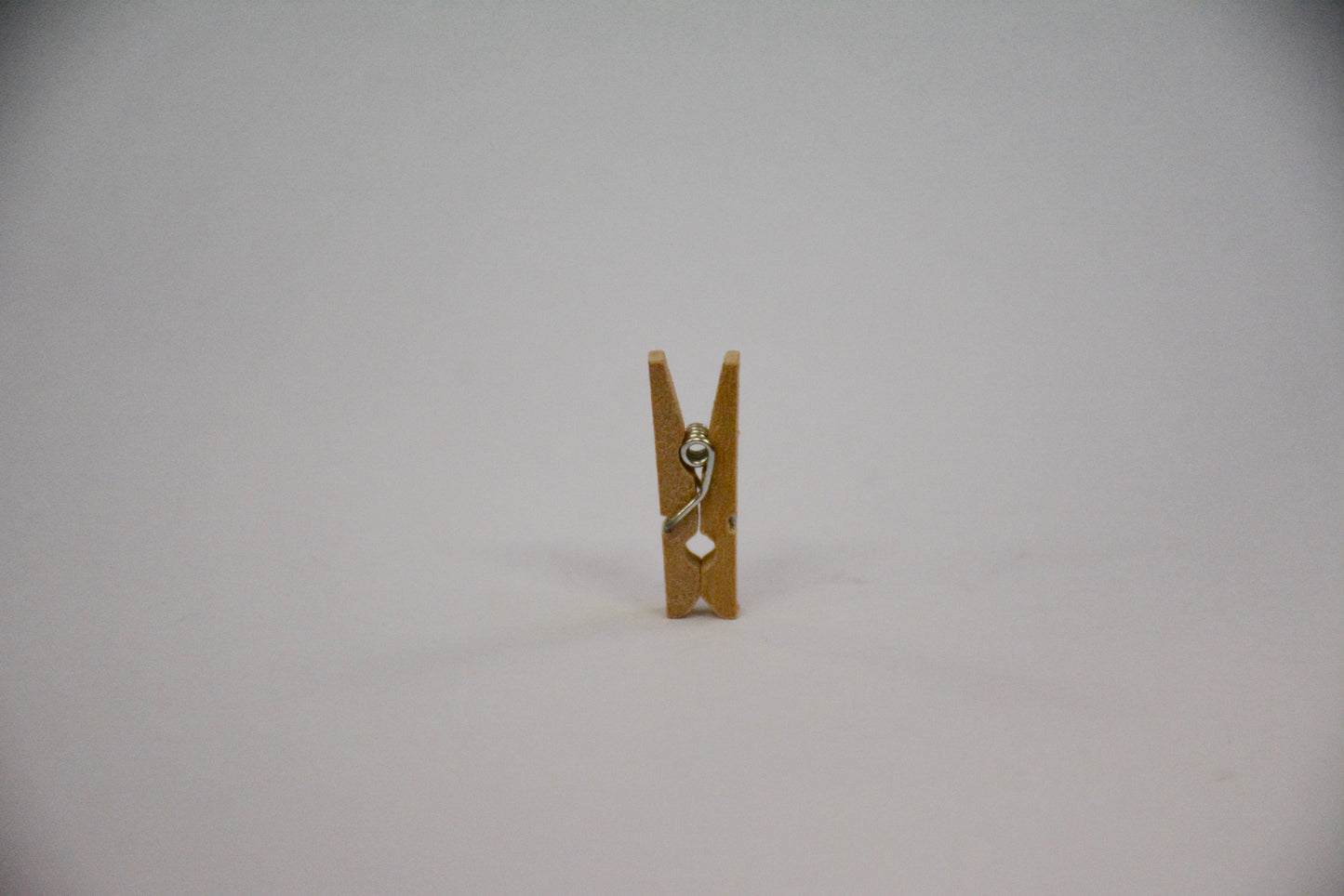 Small Peg (25mm length) (5mm width)