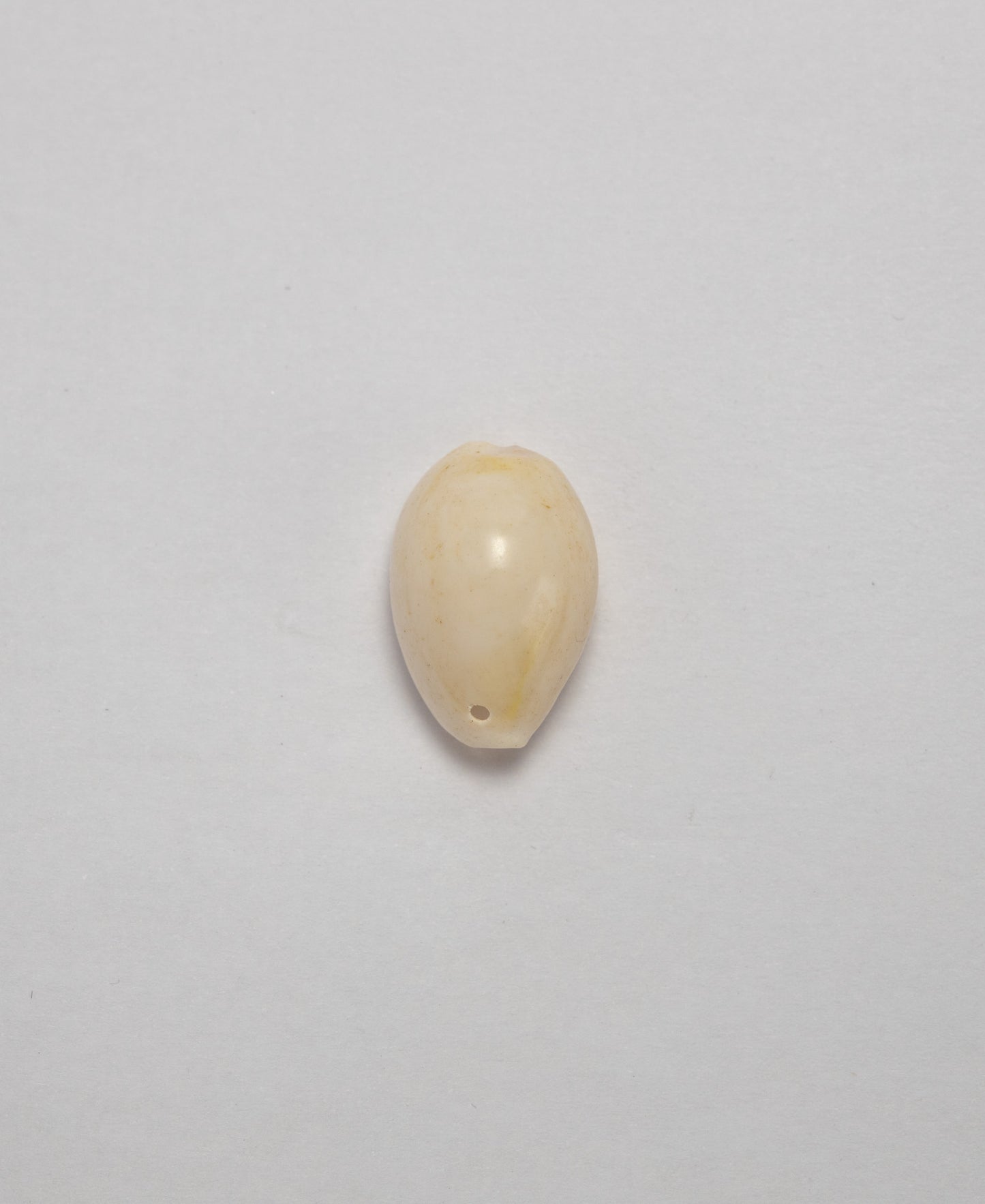 Sea Shells - (Assorted Pack of 20) (8 Shell Variations)