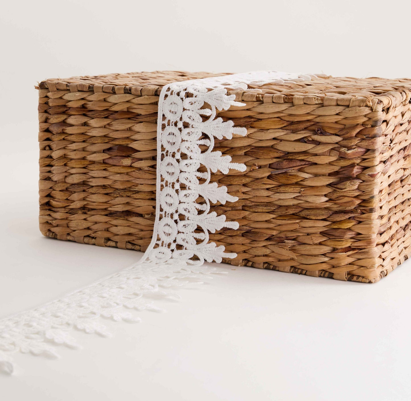 Scalloped Polyester Lace (SOLD PER METER)