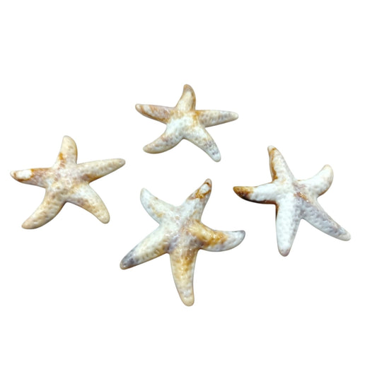 Starfish - 51mm - Sea Shell Colour (SOLD IN PACKS OF 50)