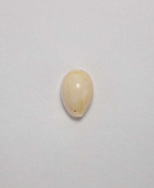 Sea Shells - (Assorted Pack of 20) (8 Shell Variations)